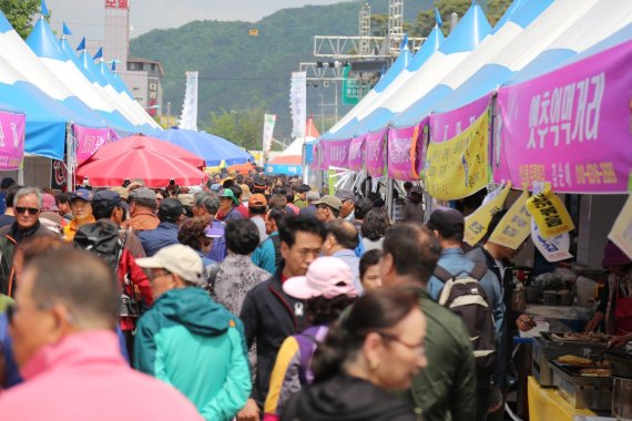 양평 용문산산나물축제 26일 개막