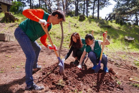 이니스프리, ‘숲 속의 제주’ 500만 그루 나무심기 스타트