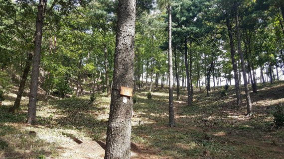 경기 양평 양동면의 국립하늘숲 추모원 전경.