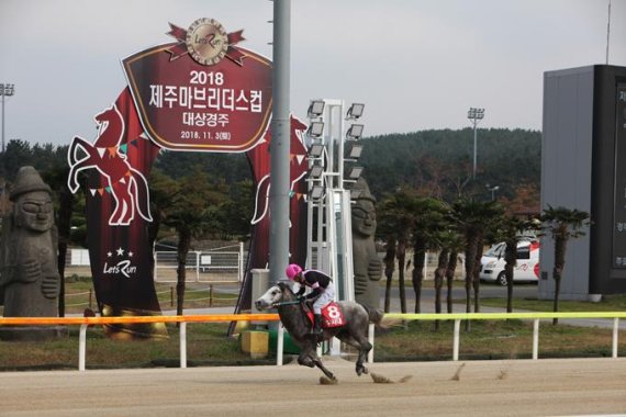 지난해 11월 열린 제주마 브리더스컵 대상 경주에서 1위로 질주하고 있는 제주마 '수사대'. /사진=마사회 제주본부