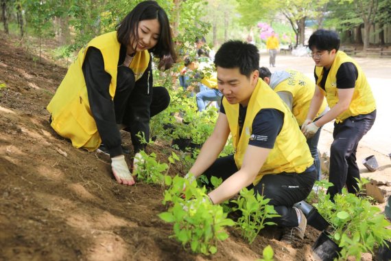 지난 20일 아워홈 직원들이 '서울숲가꾸기' 봉사활동에서 관목류를 심고 있다. 아워홈 제공