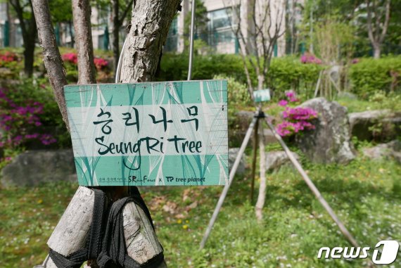 '로이킴숲', '박유천 벚꽃길' 등 사회적 물의의 중심에 있는 연예인의 이름을 사용한 시설에 지방자치단체(지자체)들이 골머리를 앓고 있는 가운데 22일 서울 강남구 역삼동의 한 근린공원에 '승리숲'의 '승리나무'를 표시하는 나무 표식이 설치돼 있다. 2019.4.23/