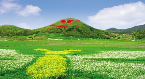 함평 나비축제가 열리는 나비동산에 핀 꽃들.