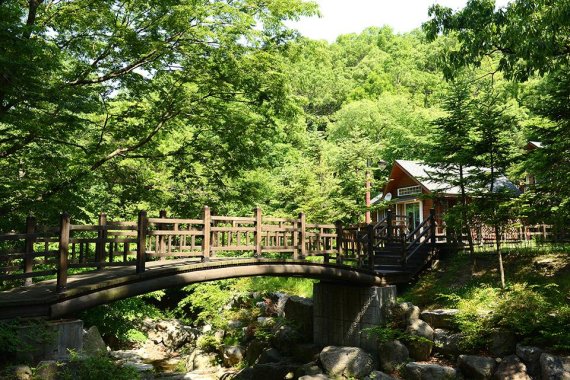 용인시, 백암면에 체류형 관광단지 'Farm &amp; Forest' 조성