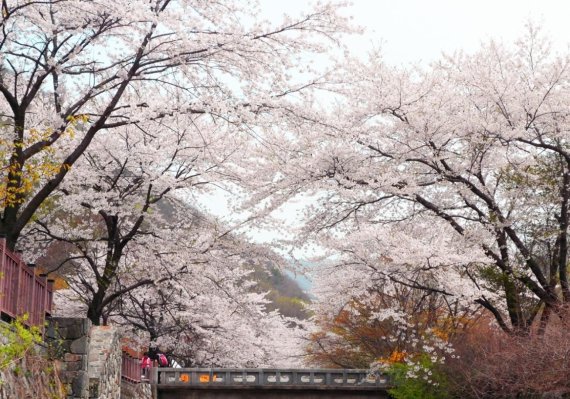 동두천 소요산 원효교. 사진제공=경기북부청