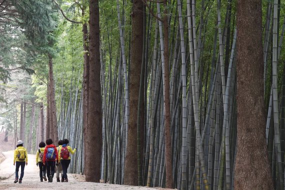 아홉산 숲을 찾은 시민들이 삼삼오오 숲길을 거닐고 있다.