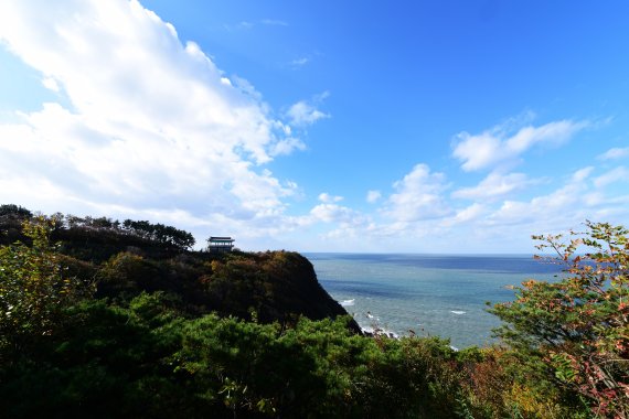 산림과학원, '아름다운 숲 지닌 서해5도' 사진전