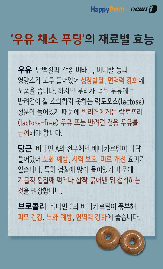 [펫카드] 강아지 간식 '우유 채소 푸딩' 만들기