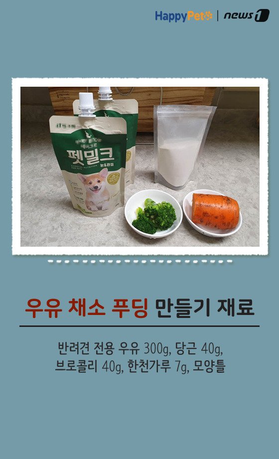 [펫카드] 강아지 간식 '우유 채소 푸딩' 만들기