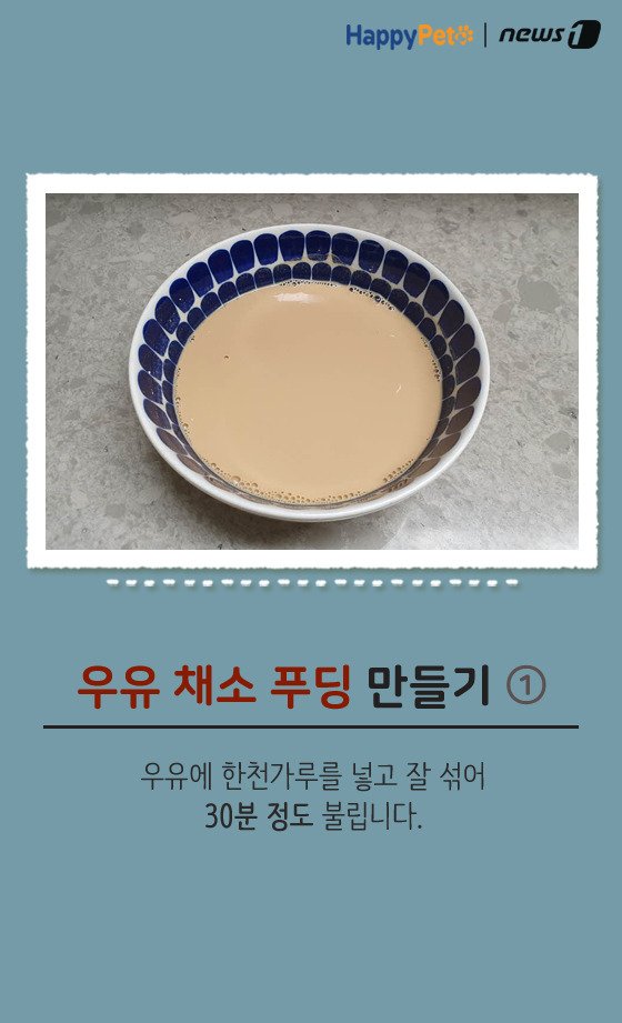 [펫카드] 강아지 간식 '우유 채소 푸딩' 만들기