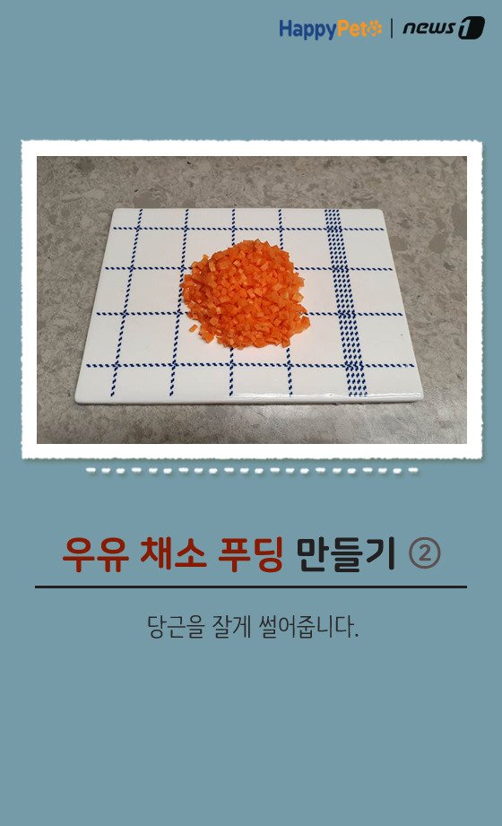 [펫카드] 강아지 간식 '우유 채소 푸딩' 만들기