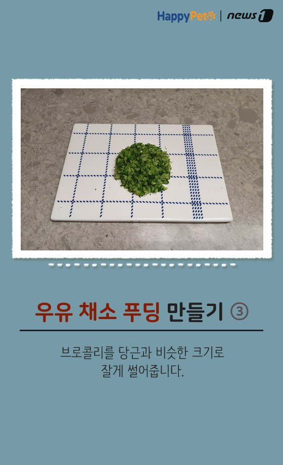 [펫카드] 강아지 간식 '우유 채소 푸딩' 만들기