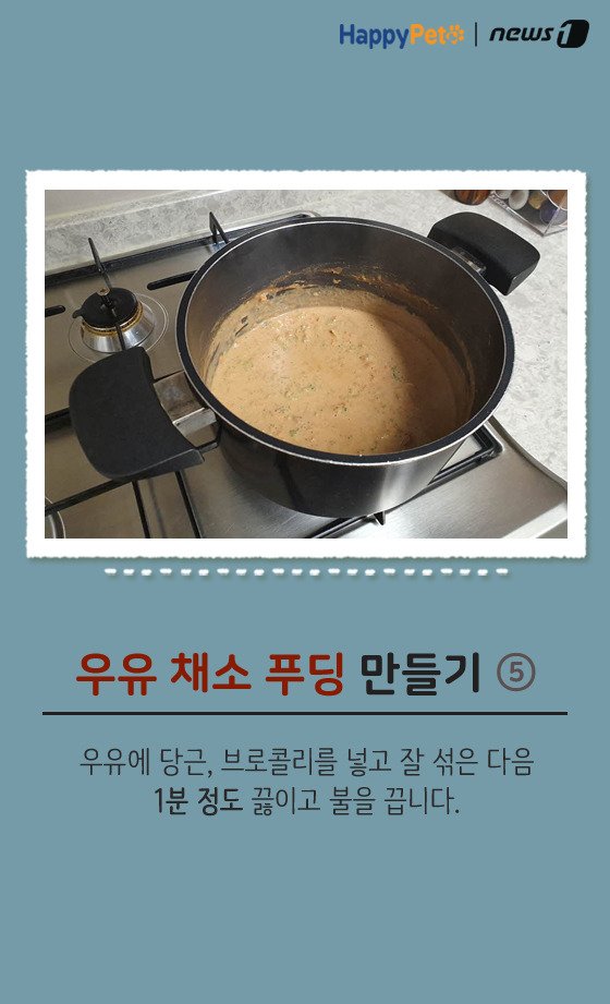 [펫카드] 강아지 간식 '우유 채소 푸딩' 만들기