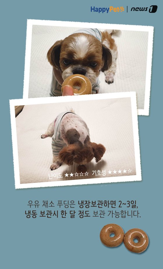 [펫카드] 강아지 간식 '우유 채소 푸딩' 만들기