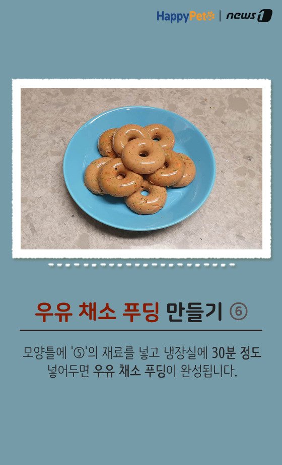 [펫카드] 강아지 간식 '우유 채소 푸딩' 만들기