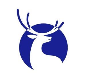 루이싱 커피 로고