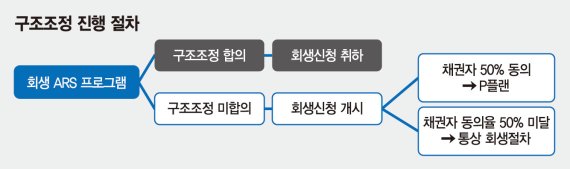 자율구조조정 무산 후 'P플랜' 신청한 첫 회생기업 나와