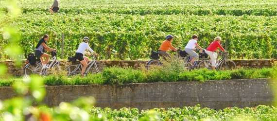 부르고뉴 와이너리 풍경을 즐기는 관광객. (사진=프랑스 관광청)