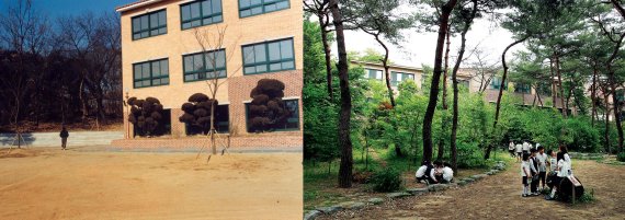 서울 화랑초등학교 학교숲 운동 전후 비교 사진 (학교숲 사업 전인 1999년/학교숲 운동 이후인 2005년). 유한킴벌리 제공