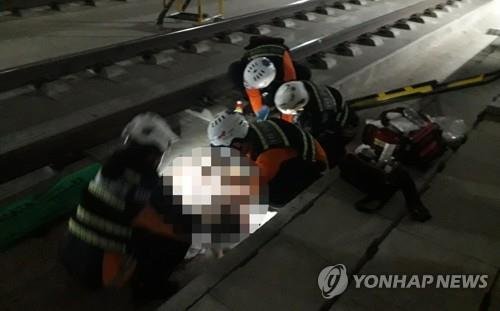 [공주소방서 제공=연합뉴스] /사진=연합뉴스