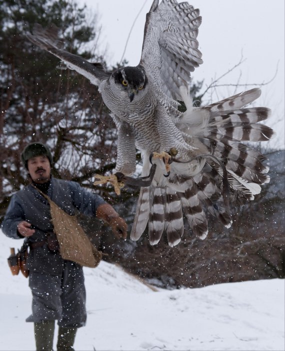 매사냥(문화재청) /사진=fnDB
