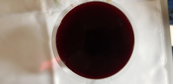 보르도 메독지방에서 생산된 '생 줄리앙' 와인이 잔에 담긴 모습.