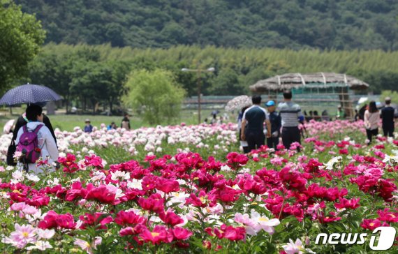 BOD 11.3ppm '죽음의 강'이 이룬 기적.. 태화강 국가정원은 어떤 곳?