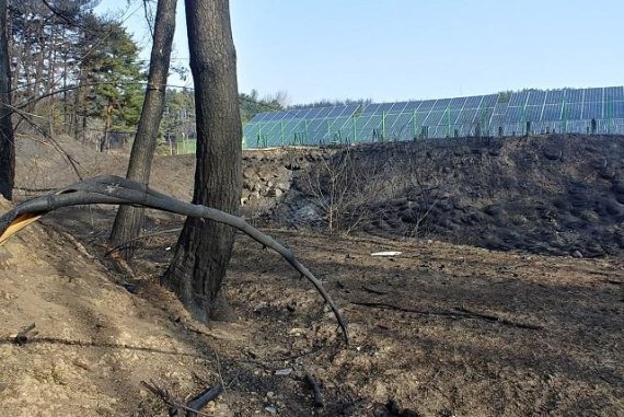 18일 강원도는 지난 4일 발생한 산불로 피해를 입은 농작물 등 피해시설의 신속한 복구와 안정적 농업경영을 위해 농업분야 복구계획을 확정, 조기집행을 추진할 방침이다 고 밝혔다. 사진은 지난 4월 4일 고성산불 지역. 사진=서정욱 기자