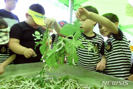 지난 2019년 전북 부안군 변산리 유유마을서 열린 유유참뽕축제 현장 모습. /사진=뉴시스