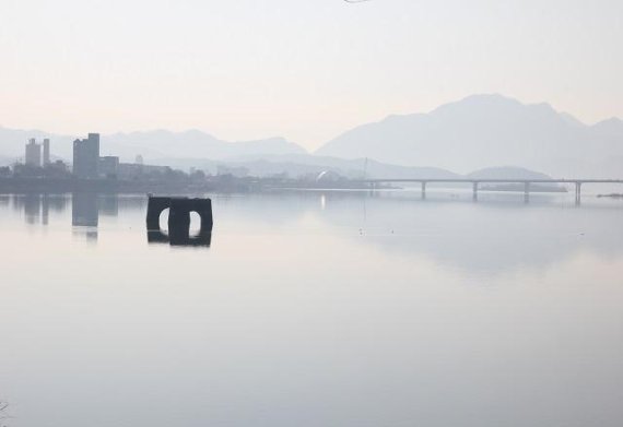 춘천시, 가마우지 찾는 버드나무 군락지버드나무 “공생”추진