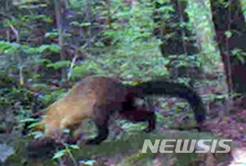 (출처=뉴시스/NEWSIS)