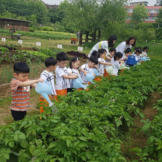 서울형 친환경텃밭 농장은 유치원, 초등학생 등 어린이들이 상추, 무, 들깨 등 각종 농작물을 직접 가꾸고 수확해 볼 수 있다. 서울에 있는 학교와 유치원이 서울텃밭을 신청하면 농사 짓는 일에 참가할 수 있다.
