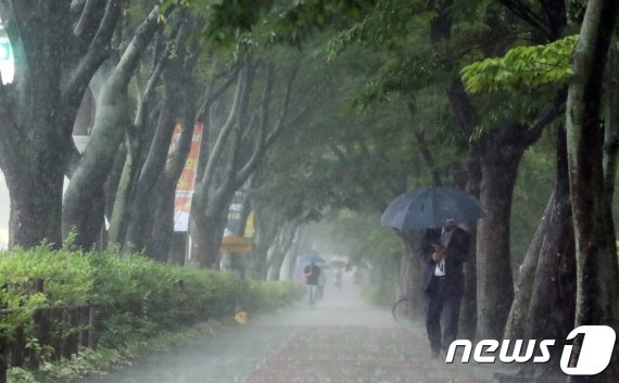 '비 피해 없기를'…폭우 쏟아지는 광주 도심. 뉴스1DB © News1 남