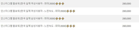 인스타그램 한국인 팔로워 1000명에 28만원을 받는 업체/사진=업체 홈페이지 캡쳐