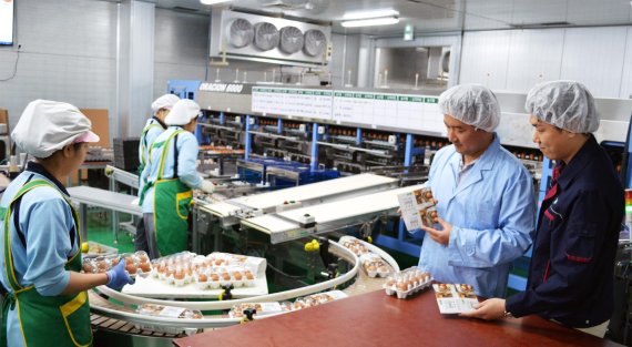 중소식품업체 '알로팜' 직원들이 수출용 계란을 포장하고 있다.
