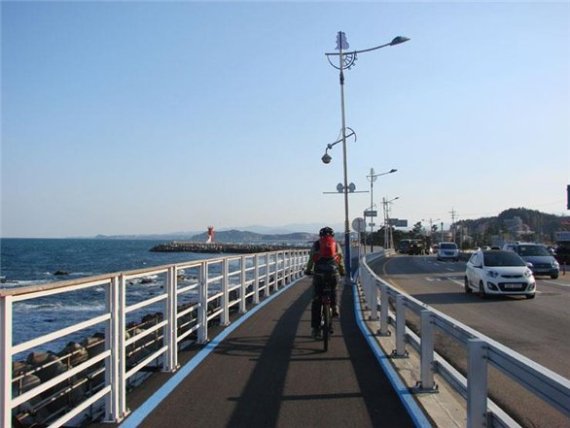 동해안 242㎞ 자전거로 달린다