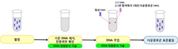 다운증후군 양성 혈청표준물질 제조과정