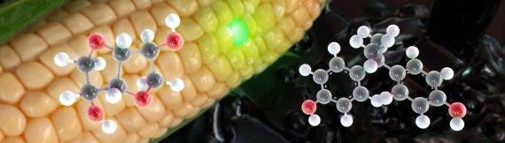 옥수수로 만든 아이소솔바이드와 석유로 만든 비스페놀A의 구조식