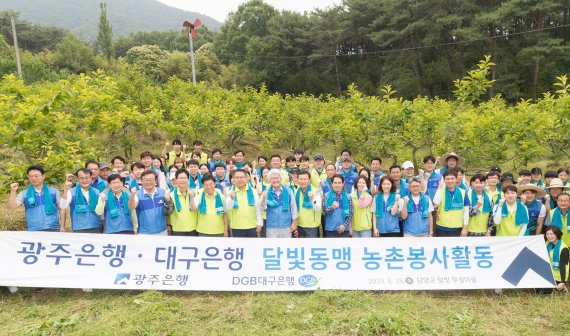 광주은행, 대구은행과 함께 달빛동맹 농촌 봉사활동 실시