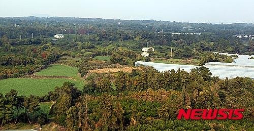 국토교통부가 발표한 '제주 제2공항' 예정지인 서귀포시 성산읍 신산리 일대의 전경.2015.11.10. [뉴시스DB]