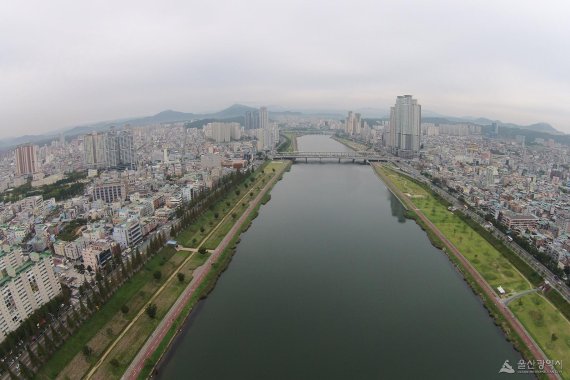 울산 태화강 /사진=울산시