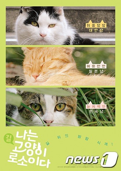 '나는 고양이로소이다' 포스터.(울산시청자미디어센터) © 뉴스1