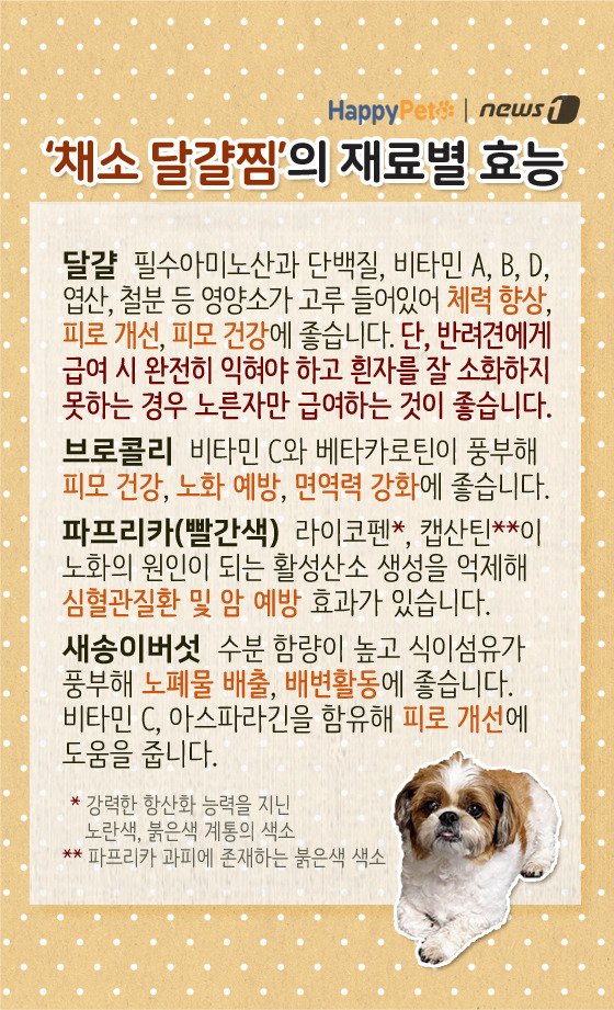 [펫카드] 강아지 간식 '채소 달걀찜' 만들기