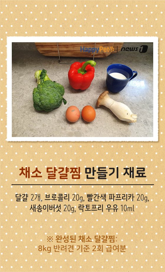 [펫카드] 강아지 간식 '채소 달걀찜' 만들기