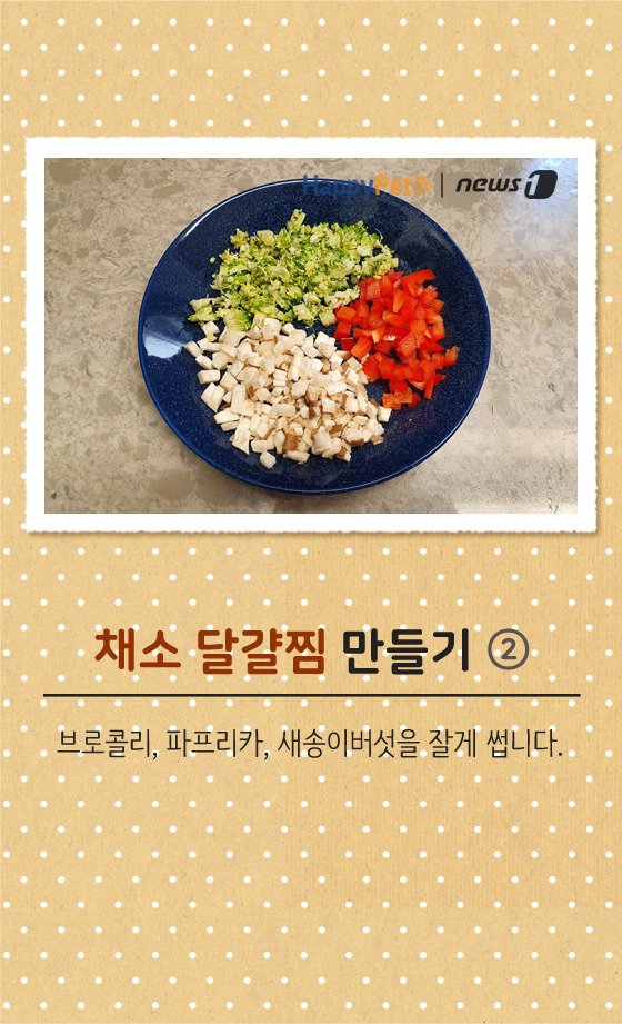 [펫카드] 강아지 간식 '채소 달걀찜' 만들기