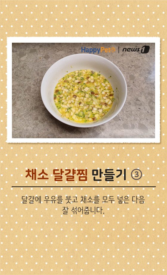 [펫카드] 강아지 간식 '채소 달걀찜' 만들기