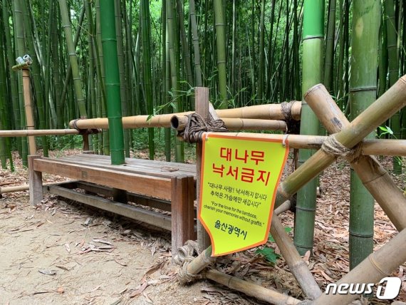 태화강지방정원 십리대숲에 걸린 '대나무 낙서금지' 홍보물. 2019.6.23/뉴스1 © News1 조민주 기자
