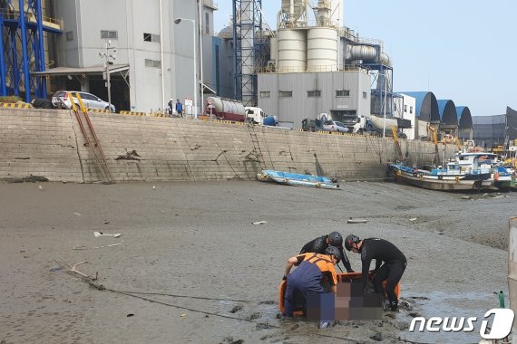 1일 오전 9시13분께 인천시 동구 만석동 만석부두 갯벌에서 A씨(79)가 숨져 있다는 신고가 119로 접수돼 신고를 받고 출동한 소방대원들이 구조작업을 벌이고 있다.(인천중부소방서 제공)2019.7.1/뉴스1 © News1 박아론 기자