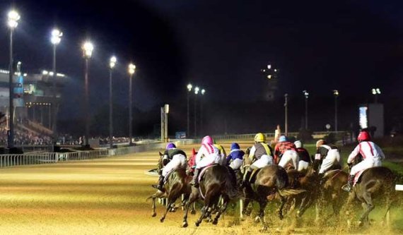 렛츠런파크 제주, 야간경마·워터파크·물총축제 진행