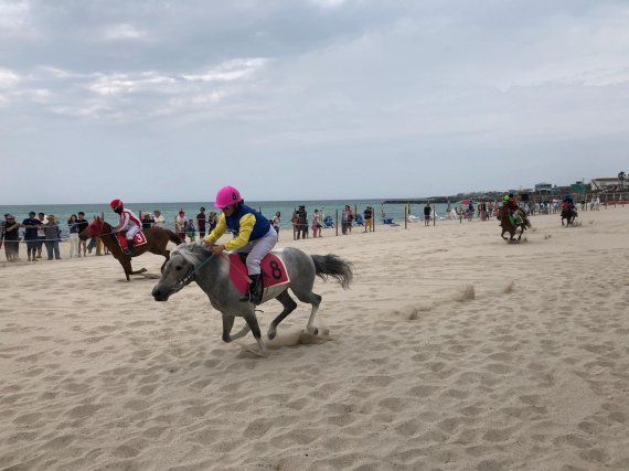 [fn포토] 제주의 여름 대표 관광콘텐츠가 된 제주마 해변 경주